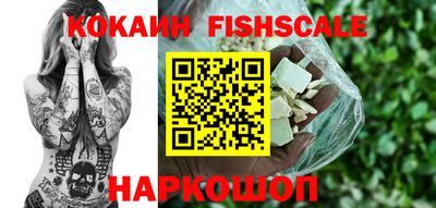 шишки Тулун