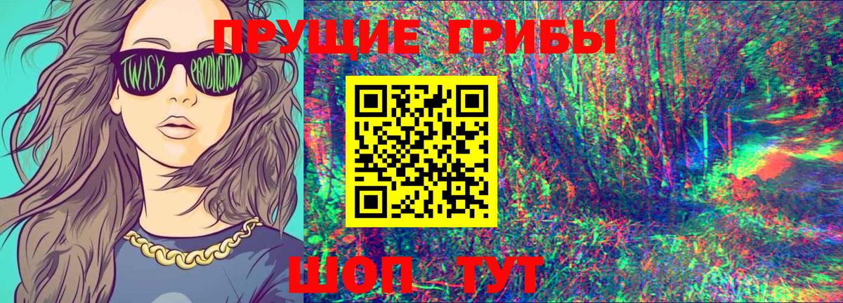Новодвинск  Псилоцибиновые грибы Magic Shrooms  Вход с VPN 